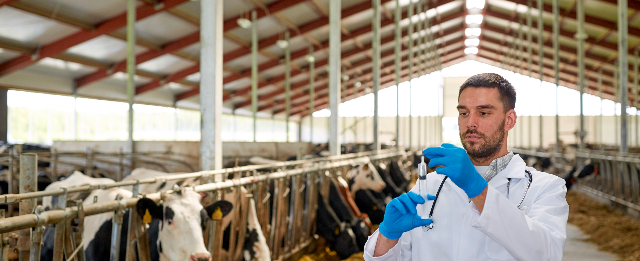 Logistics for a Vital Sector